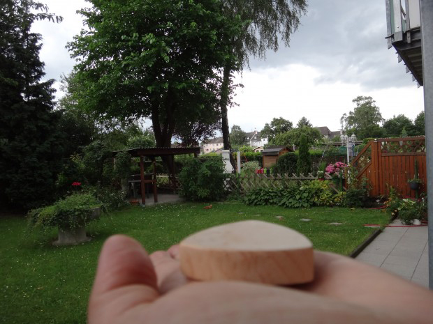 erster Ausflug in den Garten