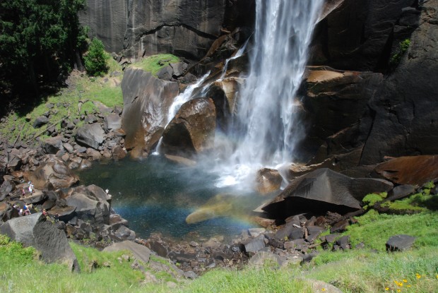 big trees - big moutains - big falls ...