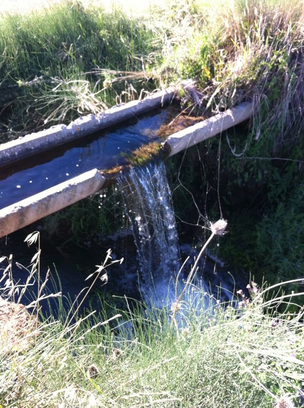 Wasser ist doch einfach immer schön