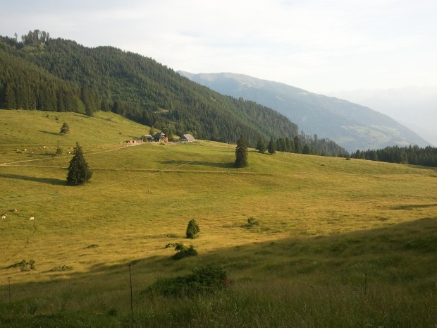 Die Reise auf die Alm...