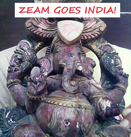 ZEAM GOES INDIA